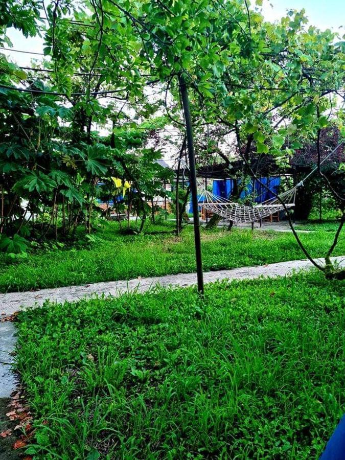 ホテル Private House Suliko コブレチ エクステリア 写真